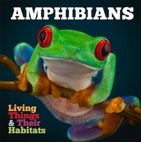 Enlarge image Cover: Amphibians - The Secret Book Company