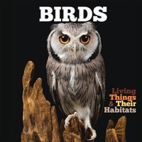 Enlarge image Cover: Birds - The Secret Book Company