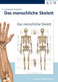 Abbildung von: Lernposter Anatomie - KVM - Der Medizinverlag