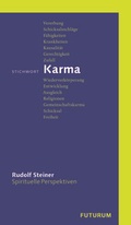 Cover: Stichwort Karma - Rudolf Steiner Verlag