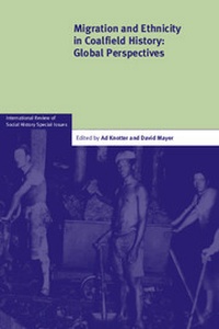 Abbildung von: Migration and Ethnicity in Coalfield History - Cambridge University Press