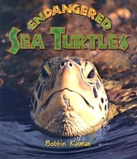 Enlarge image Cover: Endangered Sea Turtles - Crabtree Publishing Co,Canada