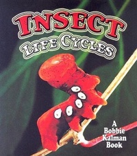 Enlarge image Cover: Insect Life Cycles - Crabtree Publishing Co,Canada