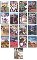 Cover: How Did That Get Here? - Crabtree Publishing Co,Canada