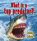 Cover: What is a top predator? - Crabtree Publishing Co,US