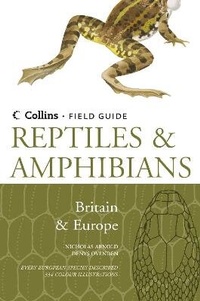 Abbildung von: Reptiles and Amphibians of Britain and Europe - Collins