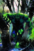 Cover: Incredible Hulk: Planet Hulk Prelude - Marvel Comics