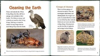 Enlarge image Cover: Big Science Ideas - Crabtree Publishing Company