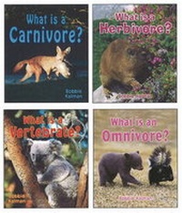 Enlarge image Cover: Big Science Ideas - Crabtree Publishing Co,Canada