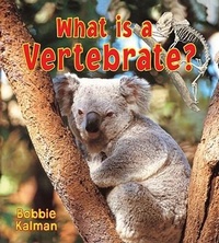 Enlarge image Cover: What is a Vertebrate - Crabtree Publishing Co,Canada