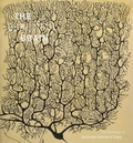 Cover: The Beautiful Brain - Amulet Books
