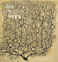 Abbildung von: The Beautiful Brain - Amulet Books