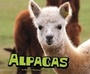 Cover: Alpacas - Raintree