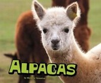 Enlarge image Cover: Alpacas - Raintree