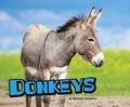 Cover: Donkeys - Raintree
