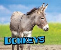 Enlarge image Cover: Donkeys - Raintree