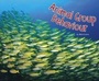 Cover: Animal Group Behaviour - Raintree