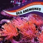 Cover: Sea Anemones - Raintree