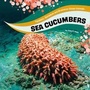 Cover: Sea Cucumbers - Raintree