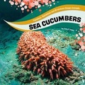Cover: Sea Cucumbers - Raintree