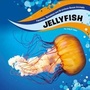 Cover: Jellyfish - Raintree