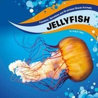 Enlarge image Cover: Jellyfish - Raintree