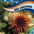 Cover: Sea Urchins - Raintree