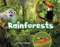 Enlarge image Cover: Rainforests - Raintree