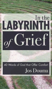 Enlarge image Cover: In the Labyrinth of Grief - Wipf & Stock Publishers