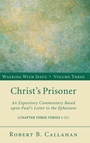 Cover: Christ's Prisoner - Wipf & Stock Publishers