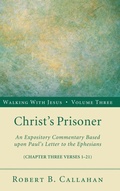 Cover: Christ's Prisoner - Wipf & Stock Publishers