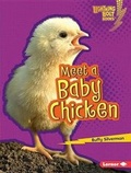 Cover: Meet a Baby Chicken - Lerner Publications Co ,U.S.