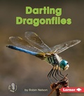 Cover: Darting Dragonflies - LernerClassroom