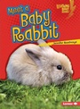 Cover: Meet a Baby Rabbit - Lerner Publishing Group
