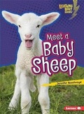 Cover: Meet a Baby Sheep - Lerner Publishing Group