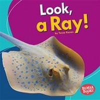 Enlarge image Cover: Look, a Ray! - Lerner Publications Co ,U.S.