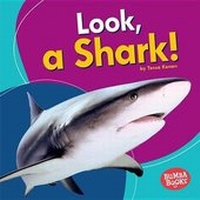 Enlarge image Cover: Look, a Shark! - Lerner Publications Co ,U.S.