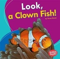 Enlarge image Cover: Look, a Clown Fish! - Lerner Publications Co ,U.S.