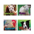Cover: Farm Animals - Capstone Press