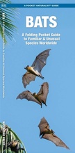 Cover: Bats - Waterford Press Ltd