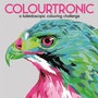 Cover: Colourtronic - Buster Books