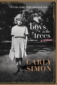 Enlarge image Cover: Boys in the Trees - Flatiron Books