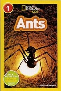 Enlarge image Cover: Ants (4 Paperback/1 CD) - Live Oak Media (NY)