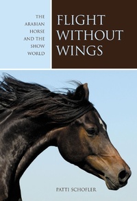 Abbildung von: Flight without Wings - Lyons Press