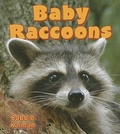 Cover: Baby Raccoons - Crabtree Publishing Co,US