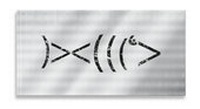 Enlarge image Cover: Das große Fischbuch - edition lex liszt 12