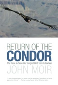 Cover: Return of the Condor - The Lyons Press