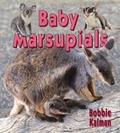 Cover: Baby Marsupials - Crabtree Classics