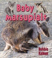 Enlarge image Cover: Baby Marsupials - Crabtree Classics