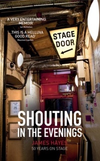 Enlarge image Cover: Shouting in the Evenings - Matador
